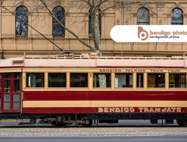 <h1>- Bendigo Stock Photos - Bendigo Tramways High St -</h1> <a href="https://bendigostock.photos/s/nggallery/search/tram">tram</a> <a href="https://bendigostock.photos/s/nggallery/search/day">day</a> <a href="https://bendigostock.photos/s/nggallery/search/green">green</a> <a href="https://bendigostock.photos/s/nggallery/search/road">road</a> <a href="https://bendigostock.photos/s/nggallery/search/high">high</a> <a href="https://bendigostock.photos/s/nggallery/search/street">street</a> <a href="https://bendigostock.photos/s/nggallery/search/tramways">tramways</a> <a href="https://bendigostock.photos/s/nggallery/search/vintage">vintage</a> <a href="https://bendigostock.photos/s/nggallery/search/talking">talking</a> <a href="https://bendigostock.photos/s/nggallery/search/tour">tour</a> <a href="https://bendigostock.photos/s/nggallery/search/fascade">facade</a> <a href="https://bendigostock.photos/s/nggallery/search/old">old</a>