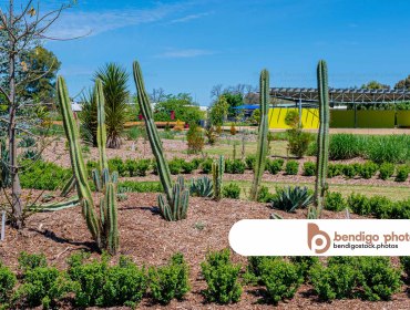Garden for the Future - Bendigo Stock Photos