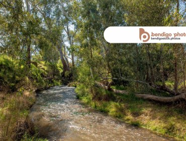 Campaspe River - Axedale Stock Images