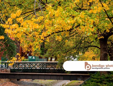 <a href="https://bendigostock.photos/s/nggallery/search/autumn">Bendigo in Autumn</a>